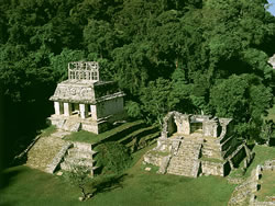 palenque-mayan-mexico.jpg