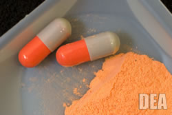 powder-and-lsd-orange.jpg