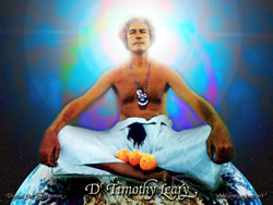 timothy-leary-poster.jpg