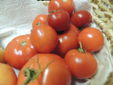 10-13-12-n-monika-tomatoes-from-garden
