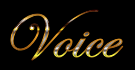 All Voice Articles